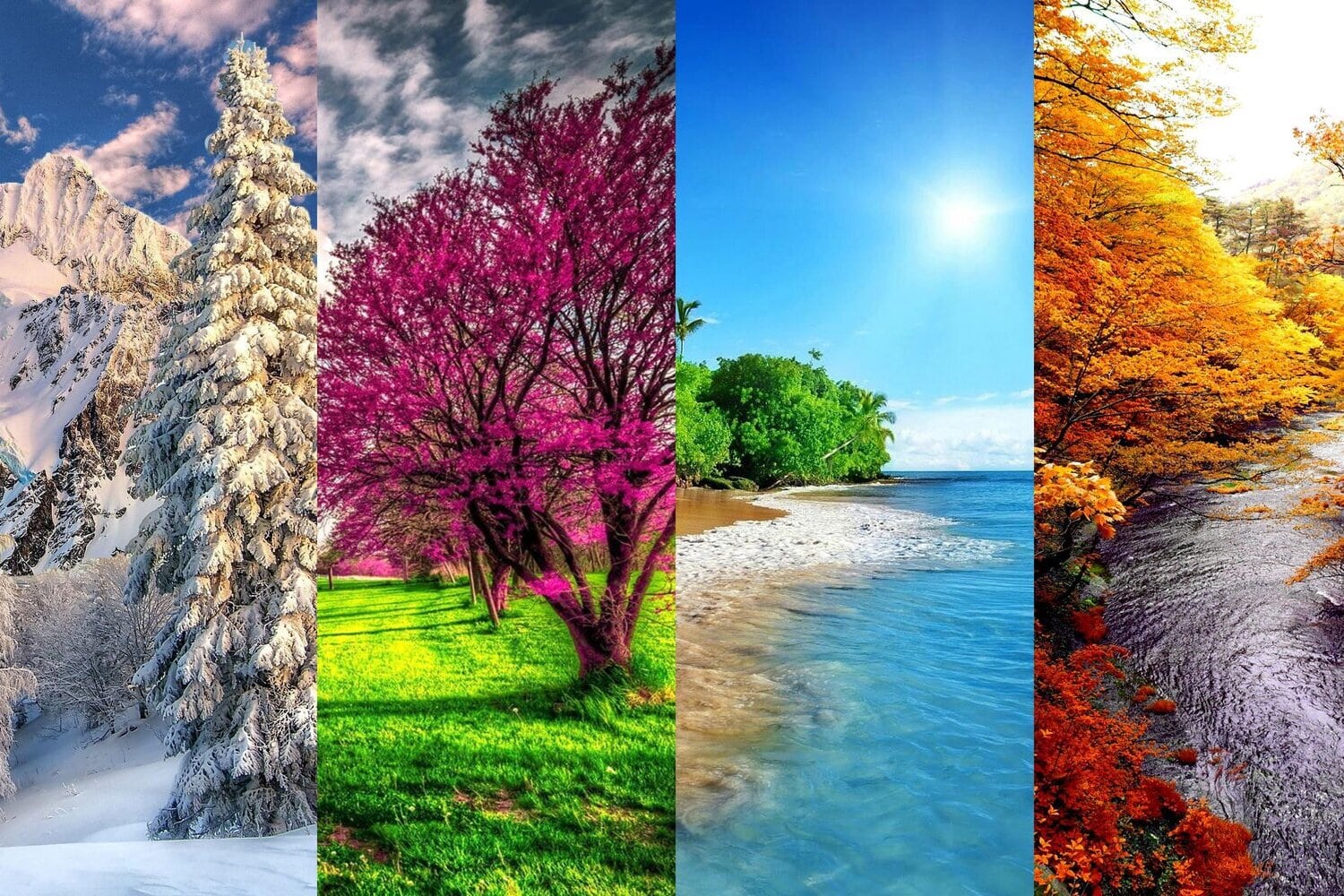 Үйленген әйел Ростовта жыныстық қатынас іздейді.